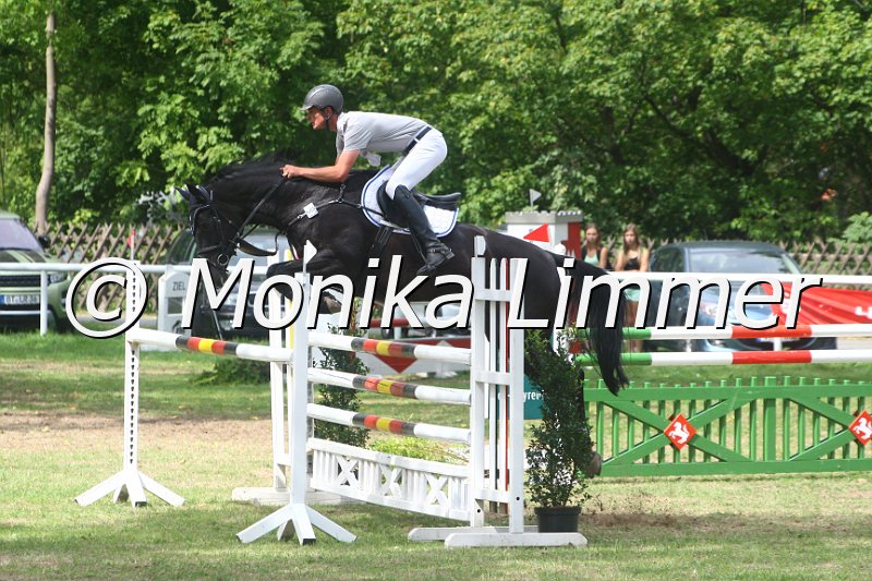 308M5314_Chellistin IIB_Springpferde Mx.JPG